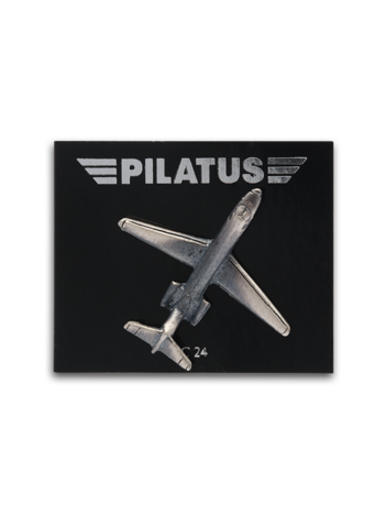 PC-24 Pin