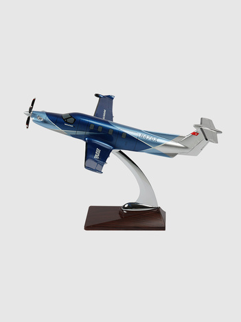 PC-12 Modell NGX blau-grau